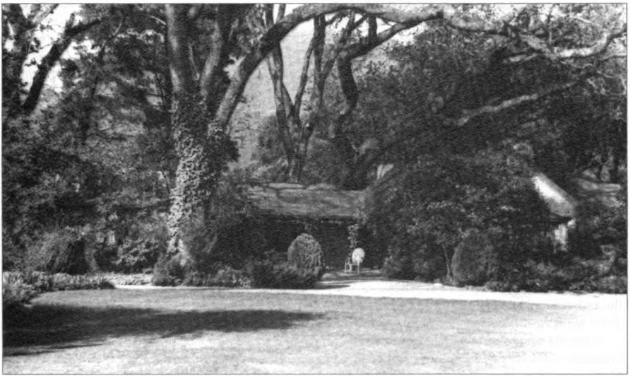 R. F. D. #1, Martinez, the last and best ranch that Roy Shurtleff would ever own, circa 1930. With its horses, swimming pool, dance floor, squash court and many other amenities, it was a gathering place for family and many friends.