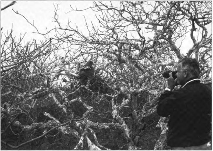 Their trip to the Galapagos Islands stimulated for Gene a lifelong interest in birding. Here he is snapping one of his first of many, wildlife photos—a fledgling bird—but difficult to identify, circa 1973.