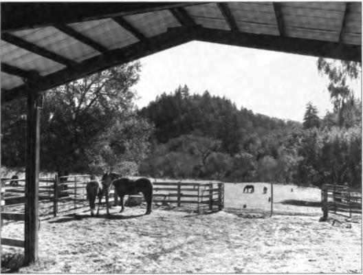 The spacious six-stall horse barn and the green pasture below—Chalk Hill Ranch, circa 1980.