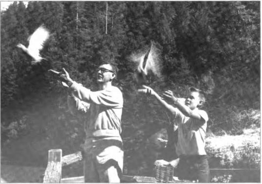 Lawton and Bill releasing their racing pigeons to fly from the Bohemian Grove to their loft at Los Palos Drive. Oh happy days! Circa 1951.