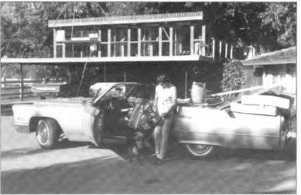 Lawton's four pens for 150 racing pigeons above the carport at 790 Los Palos, circa 1965.